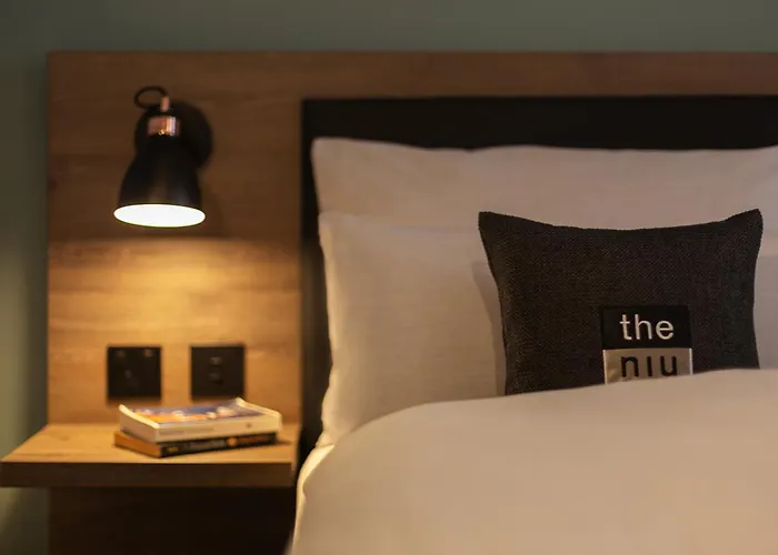 - The Niu, Flux By Ihg 3*