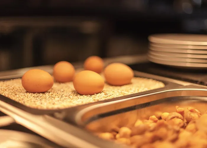 - The Niu, Flux By Ihg Отель Пассау