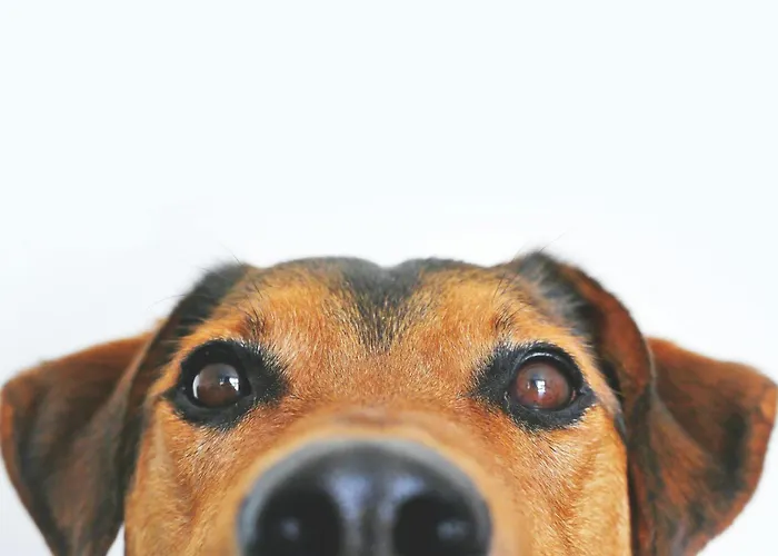 Готель - The Niu, Flux By Ihg Пассау