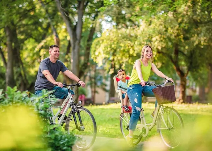 - The Niu, Flux By Ihg